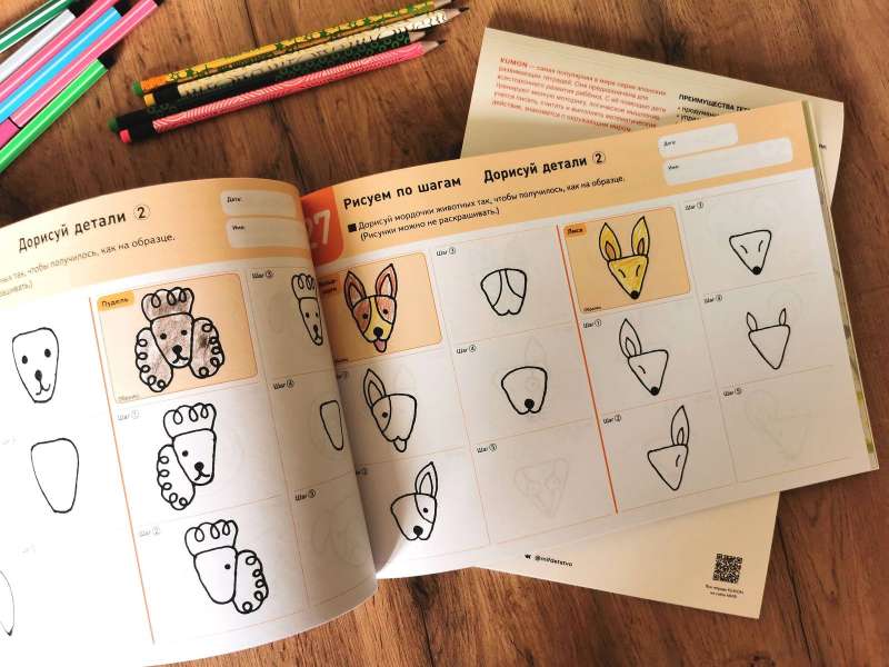 Drawing Step by Step. Animals