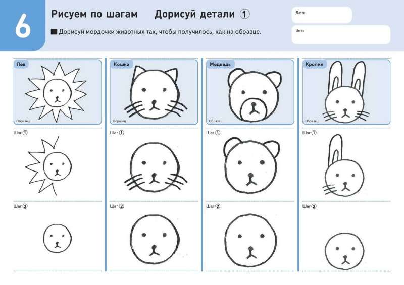 Drawing Step by Step. Animals
