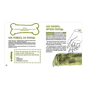 A Brief Survival Course in Case of a Zombie Invasion