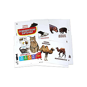 Educational Cards. Moms and Babies