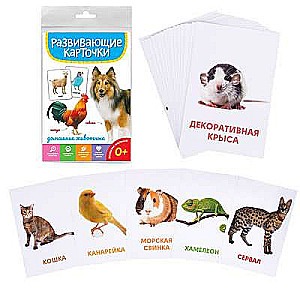 Educational Cards. Pets
