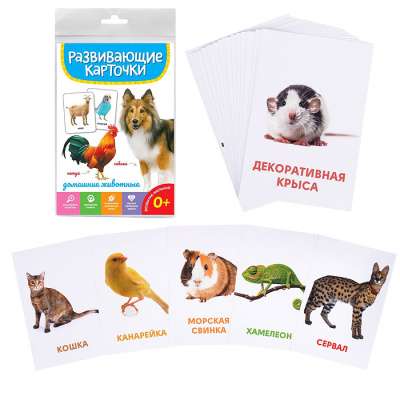 Educational Cards. Pets