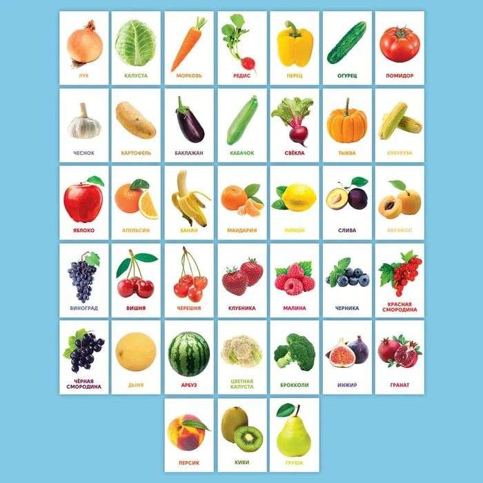 Educational Cards. Vegetables, Fruits, and Berries