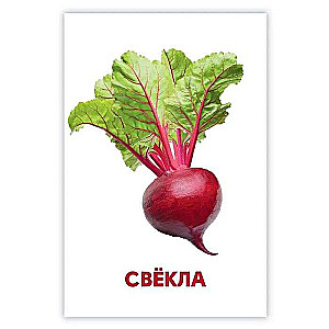 Educational Cards. Vegetables, Fruits, and Berries