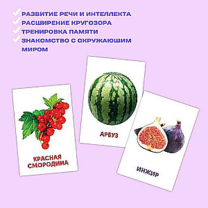 Educational Cards. Vegetables, Fruits, and Berries