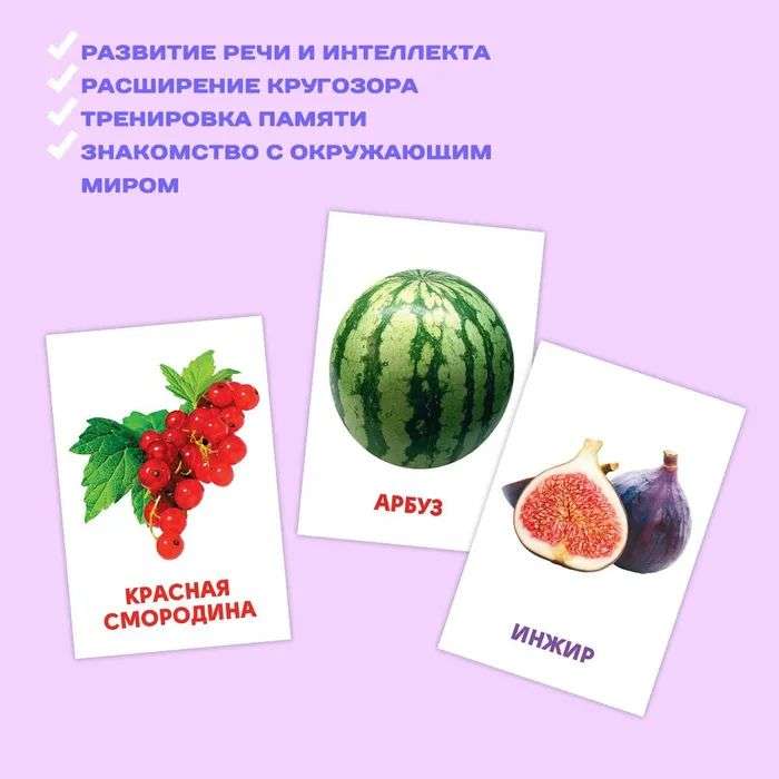 Educational Cards. Vegetables, Fruits, and Berries