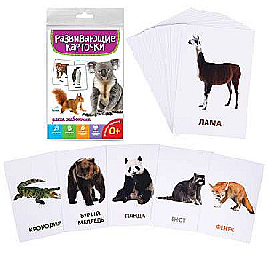 Educational Cards. Wild Animals
