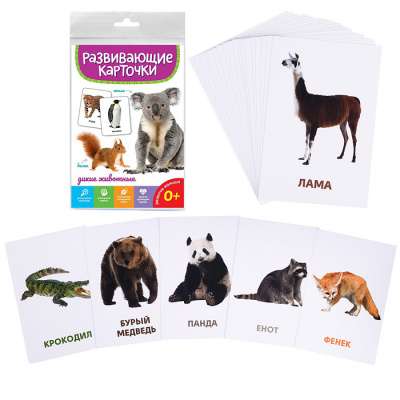 Educational Cards. Wild Animals