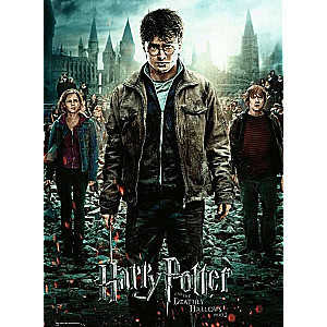 300 Piece Puzzle Harry Potter