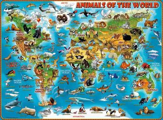 Puzzle 300 Animal World