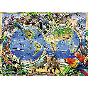 Puzzle 300 World Map