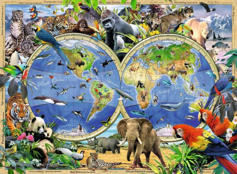 Puzzle 300 World Map