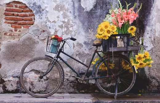 Puzzle 200 Bicycle