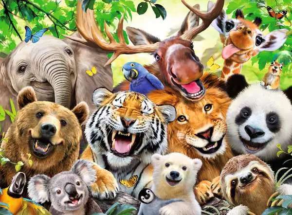 Puzzle 300 Selfies with Exotic Animals
