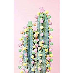 Puzzle 200 Cactus
