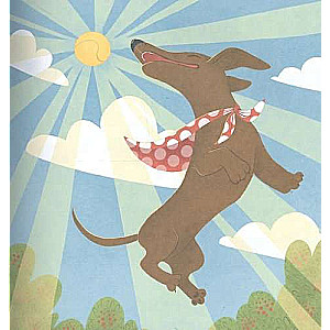 Every dachshund needs a home! Amazing stories about the dachshund Lamba
