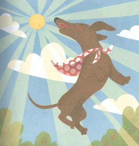 Every dachshund needs a home! Amazing stories about the dachshund Lamba