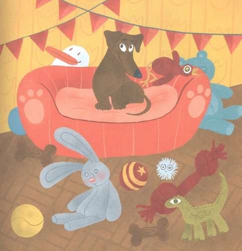Every dachshund needs a home! Amazing stories about the dachshund Lamba