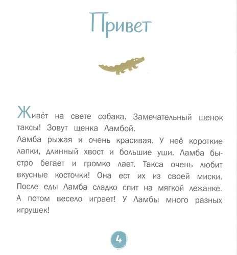 Every dachshund needs a home! Amazing stories about the dachshund Lamba