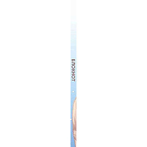 Anime. New Year Notebook A5, 64 pages, color block, blue