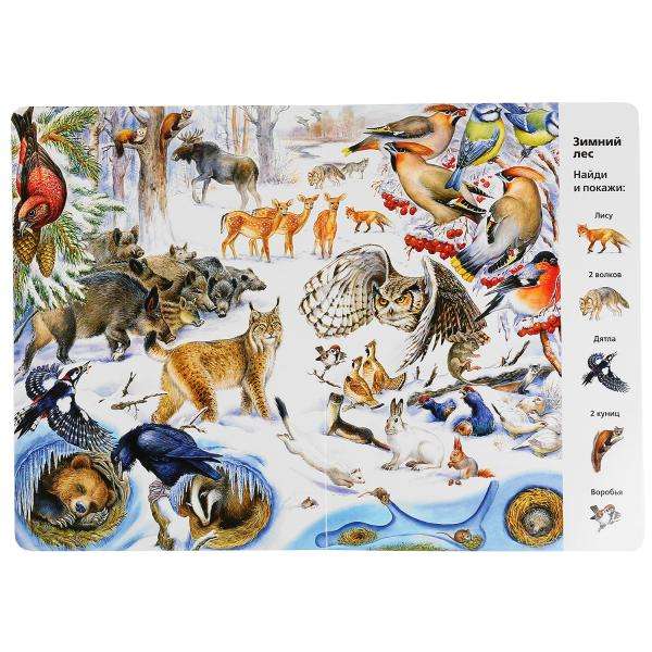 Animals. Find and Show. Wimmelbuch. A4 Format