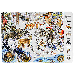 Animals. Find and Show. Wimmelbuch. A4 Format