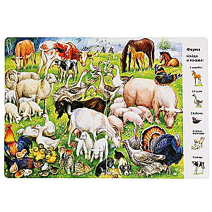 Animals. Find and Show. Wimmelbuch. A4 Format