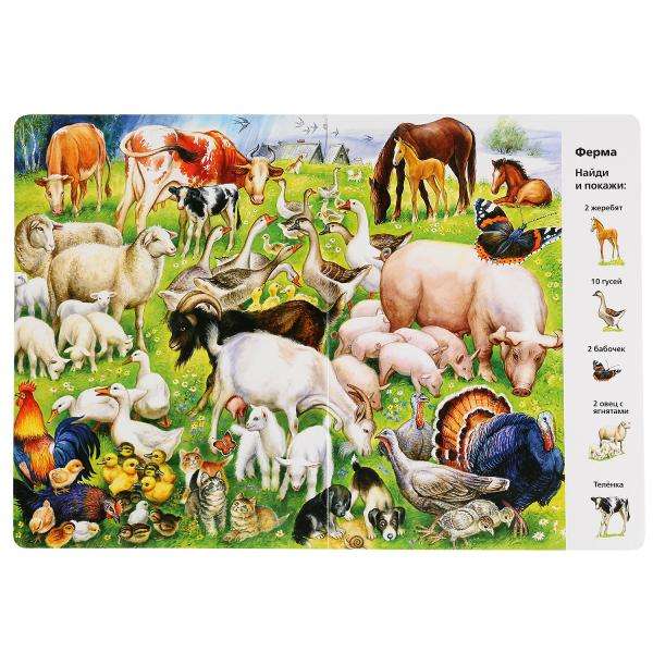 Animals. Find and Show. Wimmelbuch. A4 Format