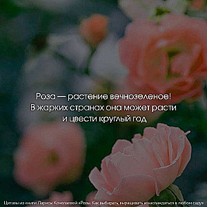 Roses. How to Choose, Grow, and Enjoy in Any Garden