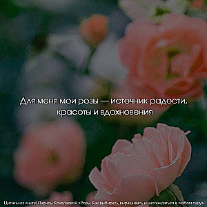 Roses. How to Choose, Grow, and Enjoy in Any Garden