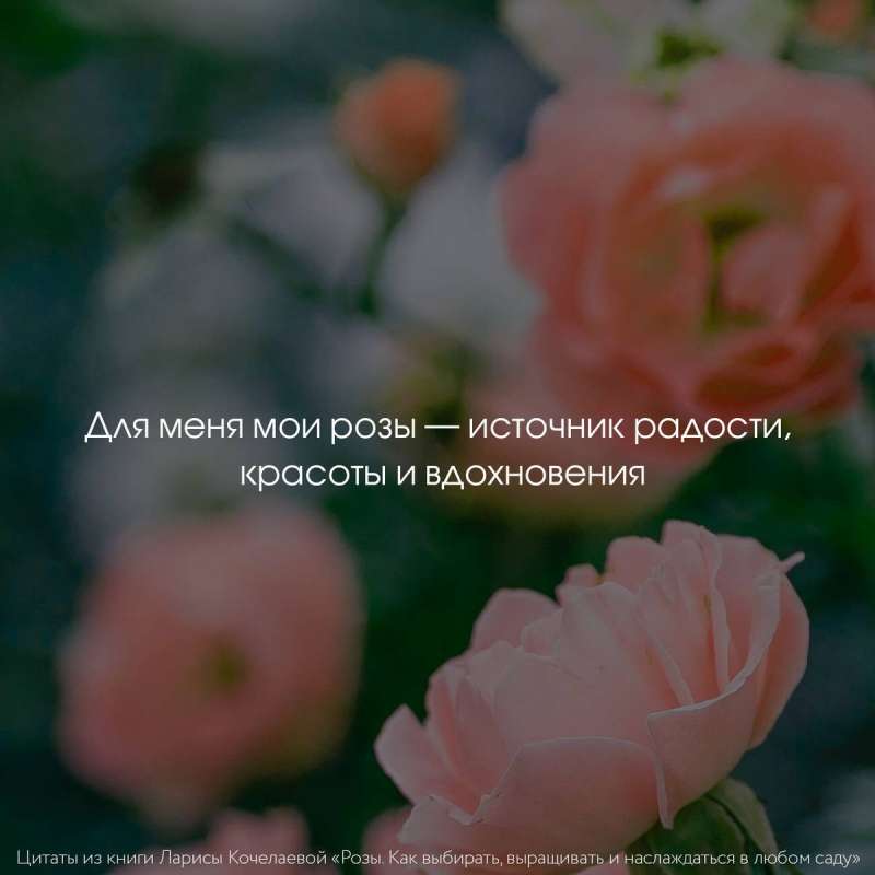 Roses. How to Choose, Grow, and Enjoy in Any Garden