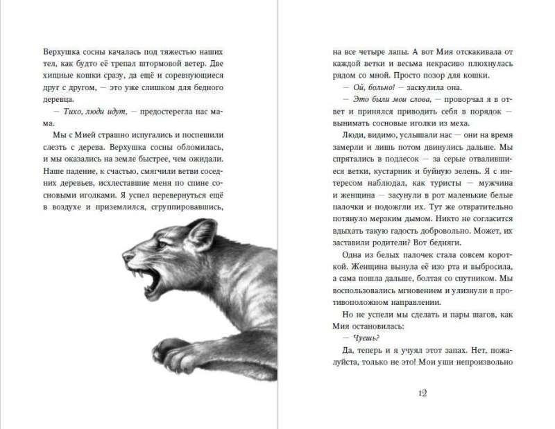 Children of the Forest. Books 4-6. Set with Poster