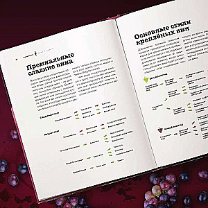 Wine Mania. An Illustrated Guide to the World of Wine