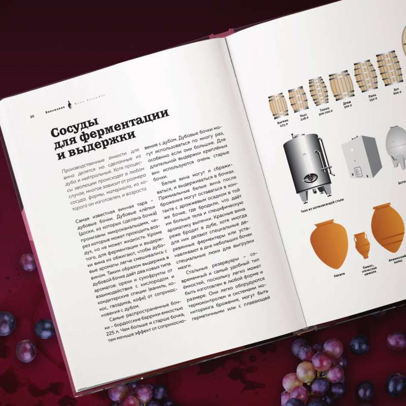 Wine Mania. An Illustrated Guide to the World of Wine