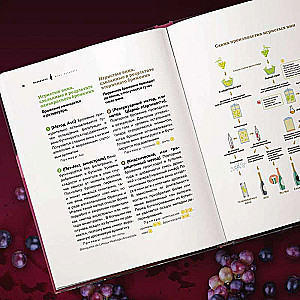 Wine Mania. An Illustrated Guide to the World of Wine