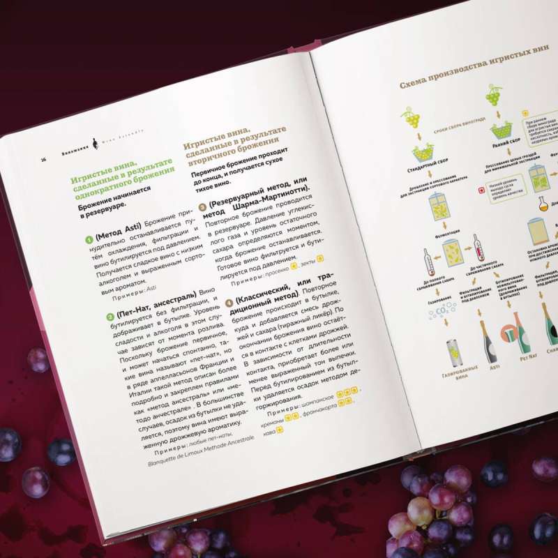 Wine Mania. An Illustrated Guide to the World of Wine