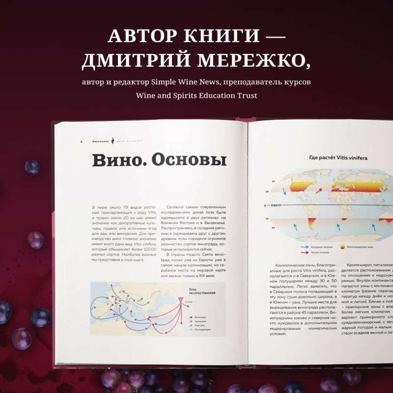 Wine Mania. An Illustrated Guide to the World of Wine