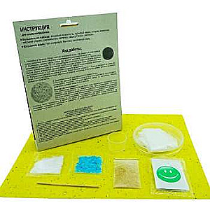 Chemical Experiments - Frosty Patterns