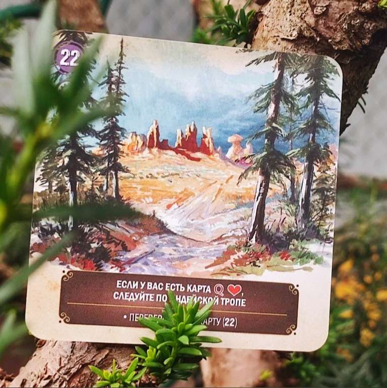 Board game - Kartaventura Oklahoma