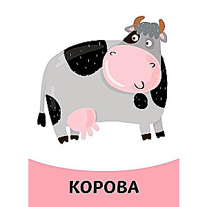 Educational Cards. Animals