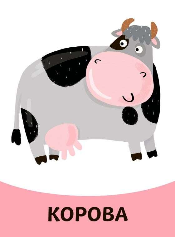 Educational Cards. Animals