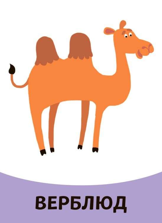 Educational Cards. Animals