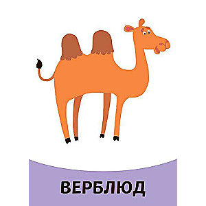 Educational Cards. Animals
