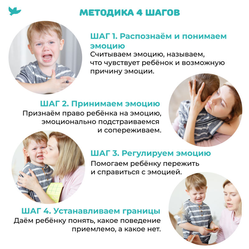 Cheat Sheets for Parents. Parent's Diary