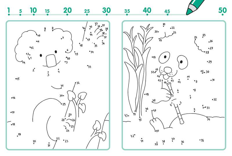 Learning to Count to 50. Connecting Dots, Drawing and Coloring