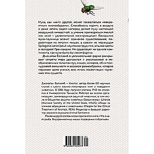 Super Flies. Amazing Stories from the Lives of the Most Successful Insects in the World