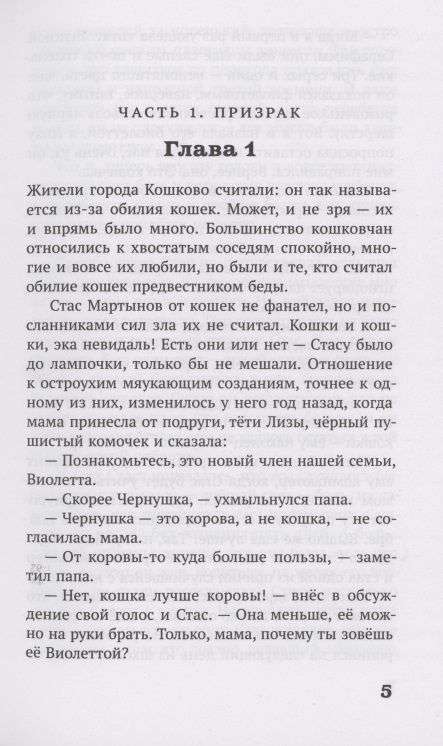 Призрак в кольчуге