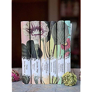 Collection of Elegant Classics Set of 5 Novels: Jane Eyre, Far from the Madding Crowd, The Little House at Big Hill, Wuthering Heights, ...