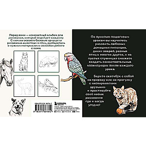 Sketchbook for Drawing Animals. Simple Step-by-Step Lessons for Creating Your Favorite Pets
