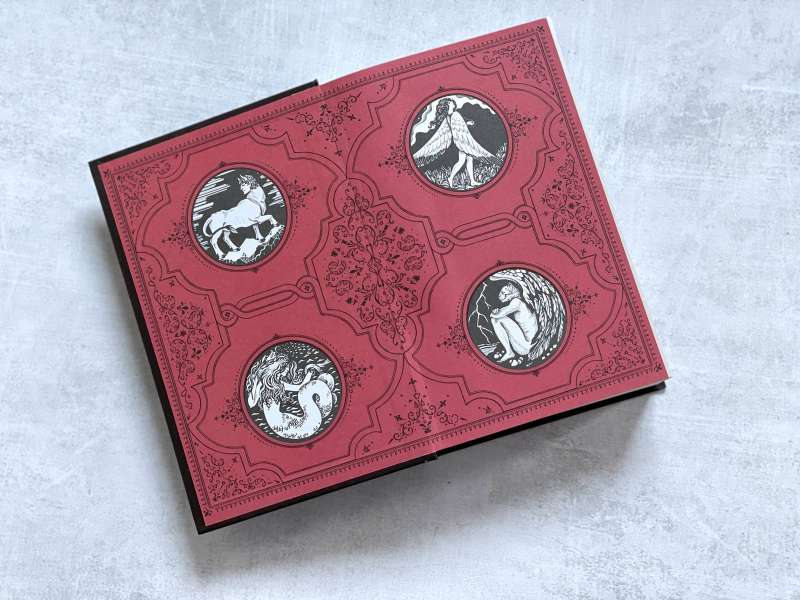 Reflections of Eternity. The Beginning set of three books